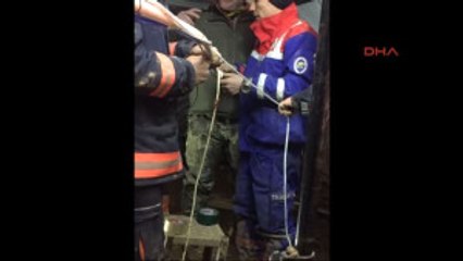 Kuyuya Düşen Köpek Bu Aparatla Kurtarıldı