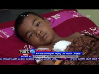 Korban Serangan Anjing Liar masih Dirawat - NET 24