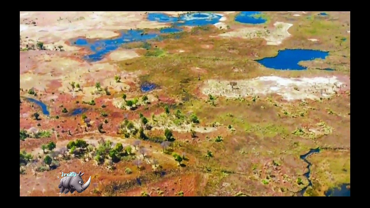 Leopardo Atacando Cobos, Leopardo Vs Cobos, Batalha animal, curiosidade animal,  Animais selvagens, Confrontos animais,