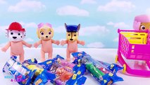 Paw Patrol Pez Dispenser Bubble Guppies Baby Dolls Learn to Count and Colors