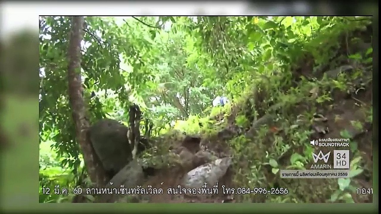 ทึ่งทั่วโลก ชนเผ่าโรมันเดคอน เกาะวานนูอากู แปซิฟิคใต้