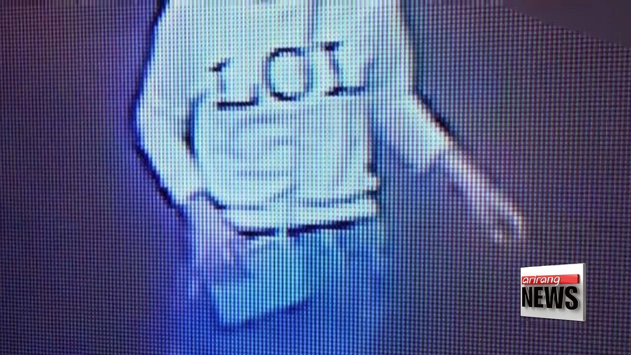 Woman arrested in Kim Jong-nam murder case holding Vietnamese documents