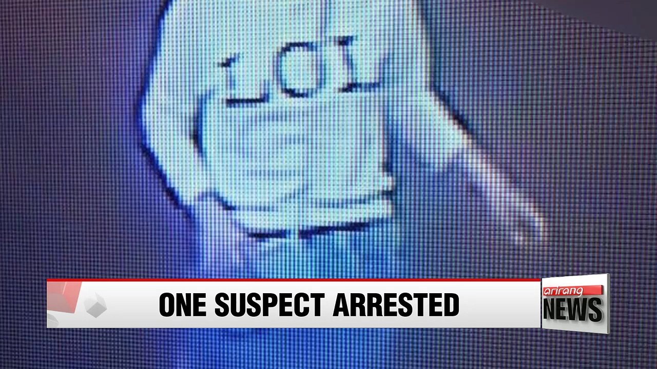 Woman arrested in Kim Jong-nam murder case holding Vietnamese documents