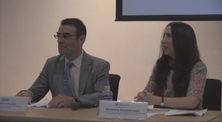 Organismos internacionales instan a Honduras normativas penales para protección DD.HH.