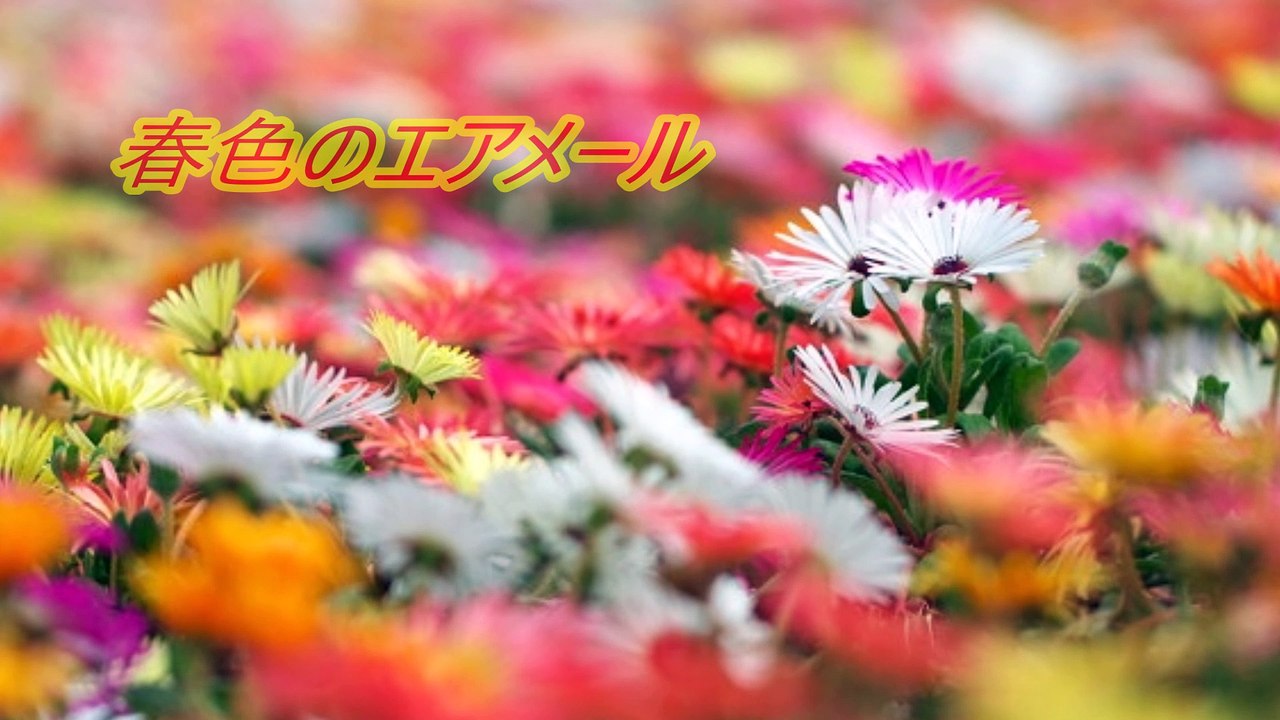 春色のエアメール　　松本典子