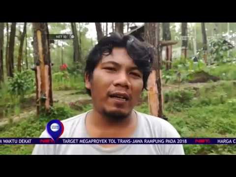 Rest Area Nan Sejuk di Hutan Pinus - NET 10