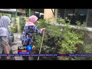Urban Farming Solusi Warga Perkotaan Hindari Gejolak Kenaikan Harga Cabai - NET 12