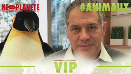 [VIP] Luc Jacquet : "L'Empereur, une merveille de technologie naturelle"