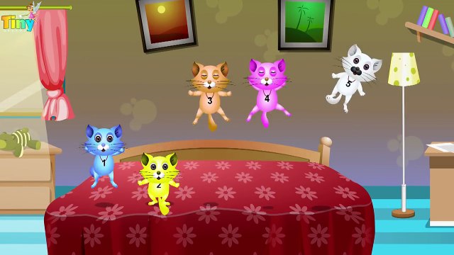 five little kittens | three little kittens | nursery rhymes | kids songs | baby rhyme