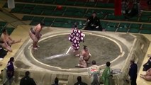 Un sumo se prend en gros KO dès le début du combat