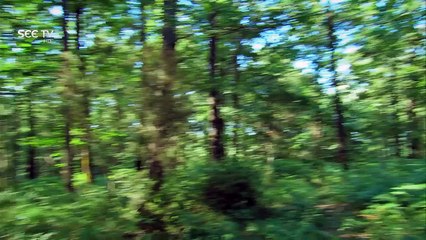 Kahani Zindagi Ki - Episode#293 - Promo -14 Feb,2017 - SEE TV