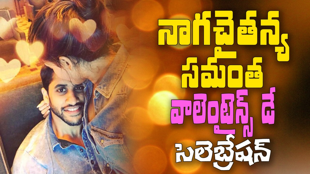 Samantha Naga Chaitanya Velantine`s Day Celebrations