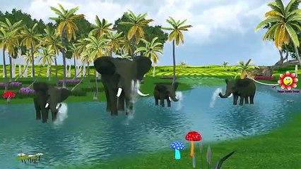 Elephant Finger Family Rhymes For Kids | Dinosaurs Cartoons Wee Willie Winkie Nursery Rhymes