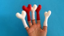 Cinco de Agua de Corazón Globos colección de Compilación Aprender los Colores en Húmedo Globo Dedo Nurser