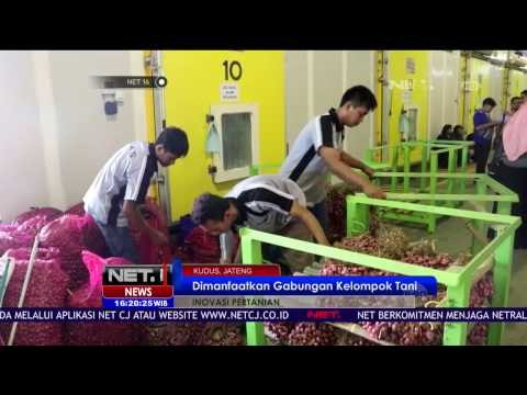 Inovasi Mesin Penyimpan Hasil Pertanian untuk Stabilkan Harga Dipasaran - NET 16