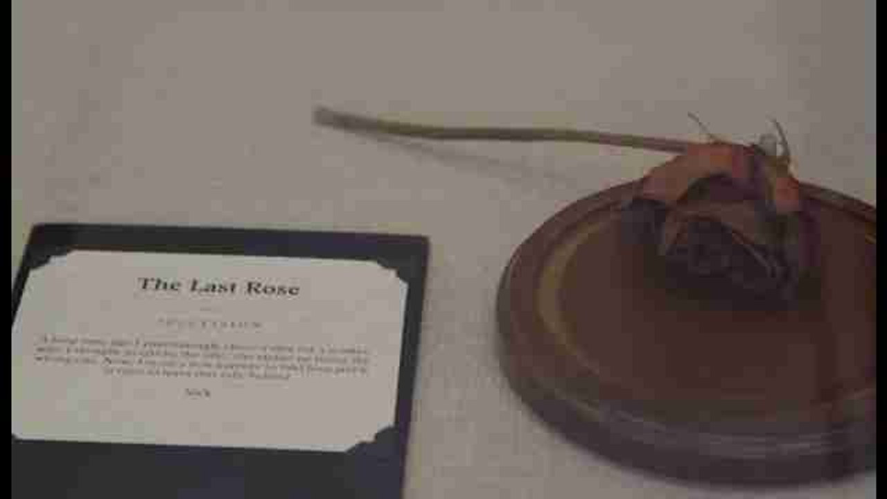 El Museo de las Relaciones Rotas, un homenaje al desamor