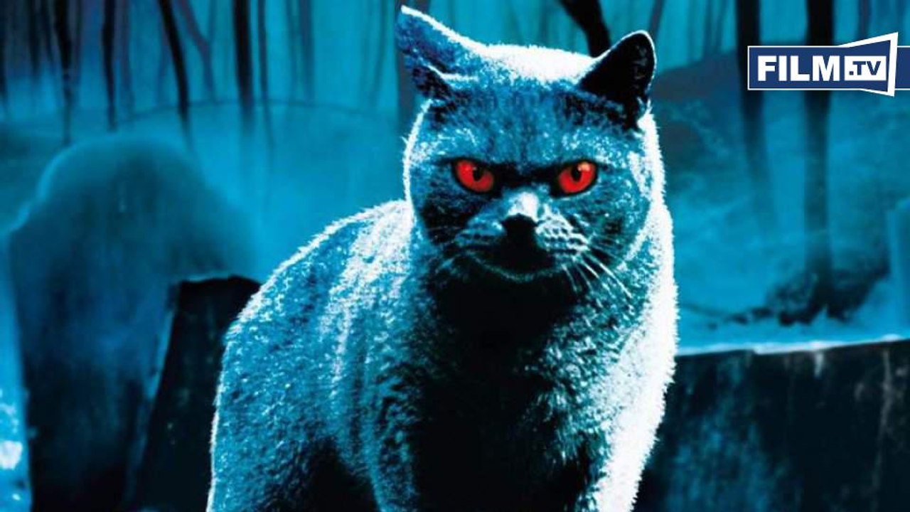 FRIEDHOF DER KUSCHELTIERE REMAKE | NEWS