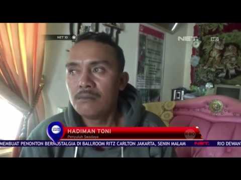 Bisnis Potensial, Teh Daun Gambir - NET 10