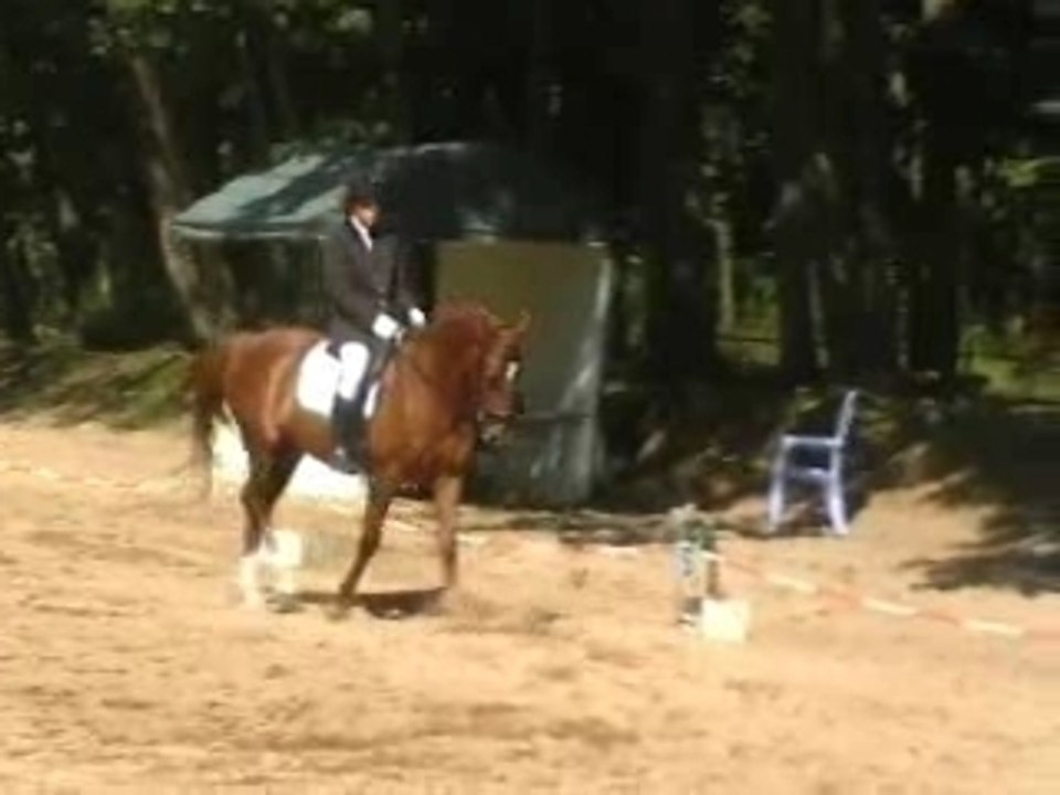 Loulou de l'avenir dressage D3