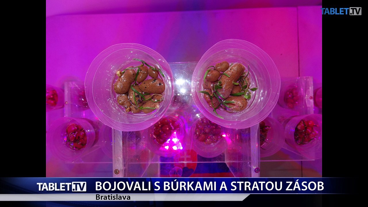 Slovenská astrobiologička viedla medzinárodný tím vedcov na simulovanej misii na Mars