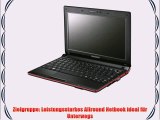 Samsung NC10 Plus JP03 2565 cm (101 Zoll) Netbook (Intel Atom N455 16GHz 1GB RAM 250GB HDD