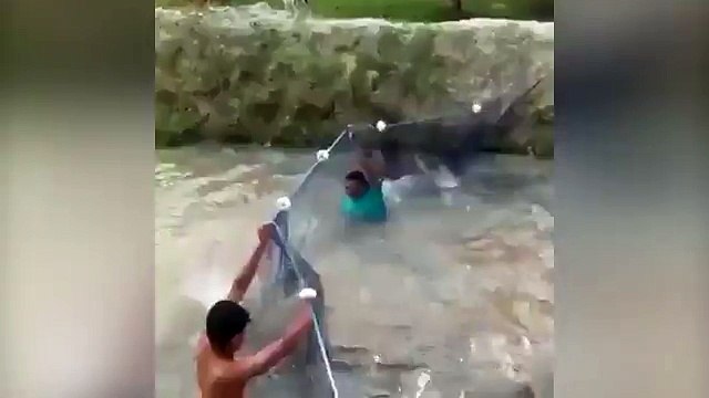 Comment une partie de pêche s’est transformée en une attaque de DDoS…