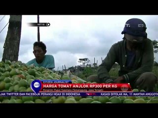 Wujud Kekesalan Petani Tomat - NET 10