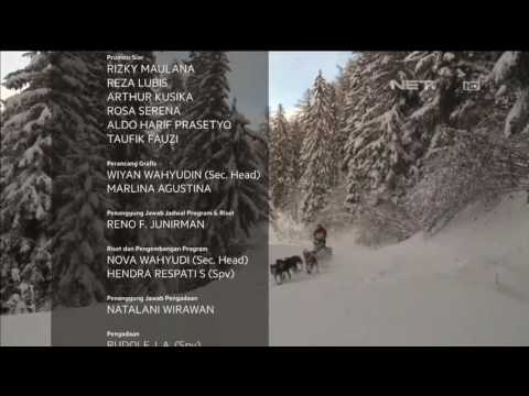 Kompetisi Balap Anjing Husky - NET 24