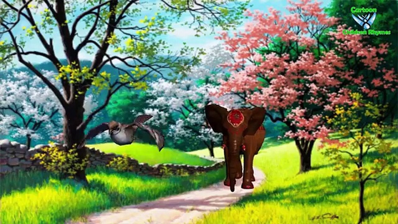 Sparrow Irritatting Baby Elephant Funny Sound Video For Cartoon Children