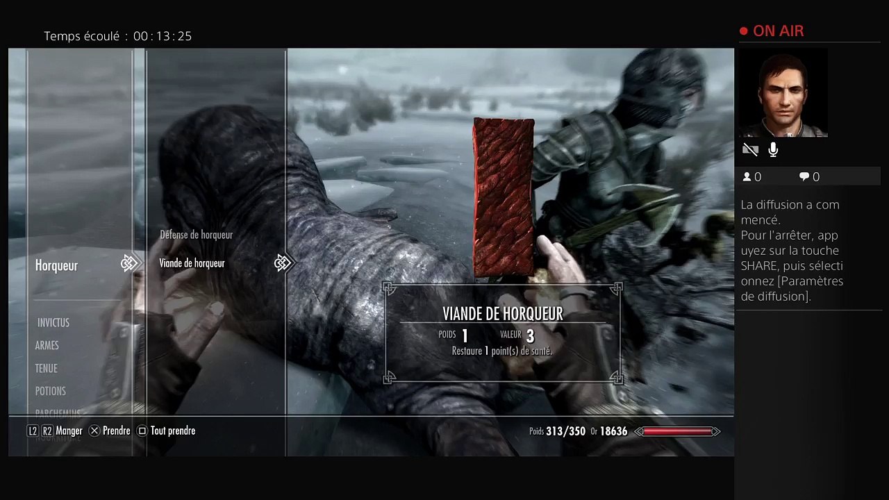 Diffusion PS4 en direct de Gerfaut3 (40)