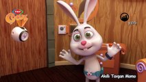 Akıllı Tavşan Momo Çizgi Filmi 8 Bölüm