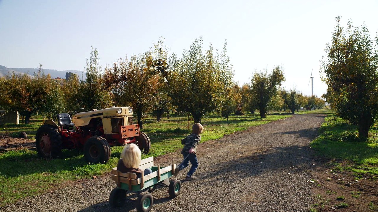 Film France Nature Environnement - Institutionnel 60" / agence Les Présidents