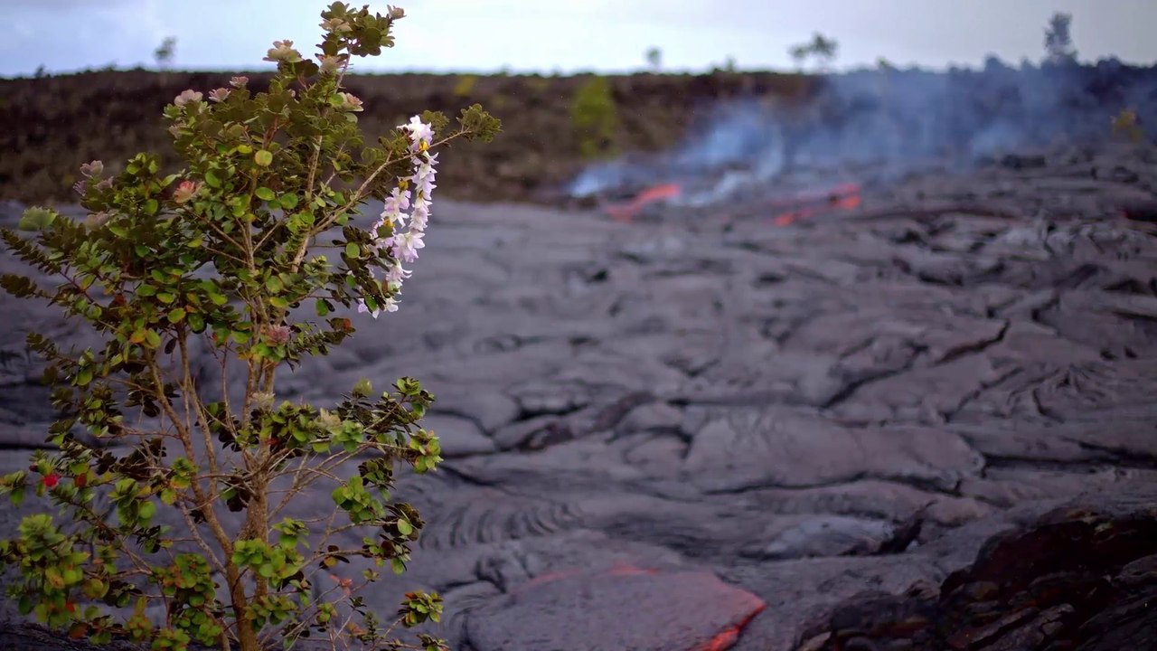 Phantom Power - Purgatory