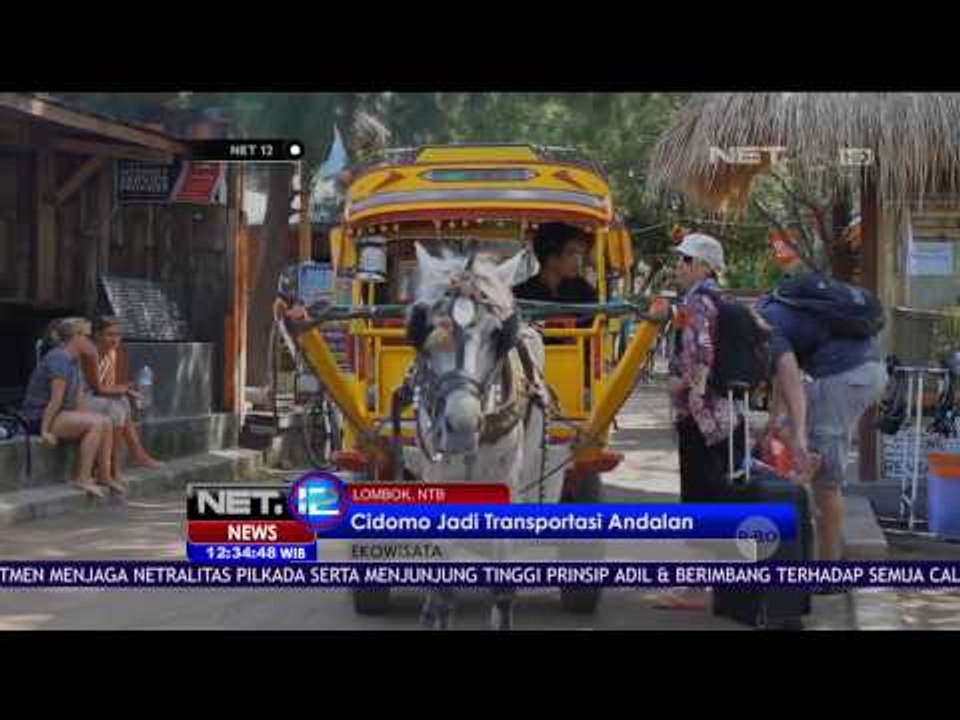 Cidomo, Transportasi Kuda yang Pikat Wisatawan...