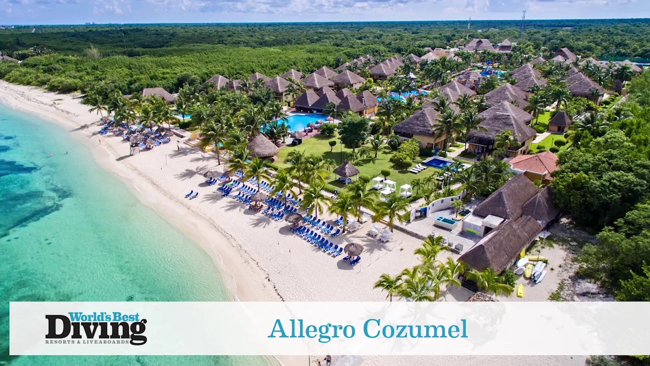 World's Best Diving: Allegro Cozumel