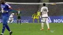 Al-Jazira vs Emirates Club 5-0 All Goals & Highlights HD 15.02.2017