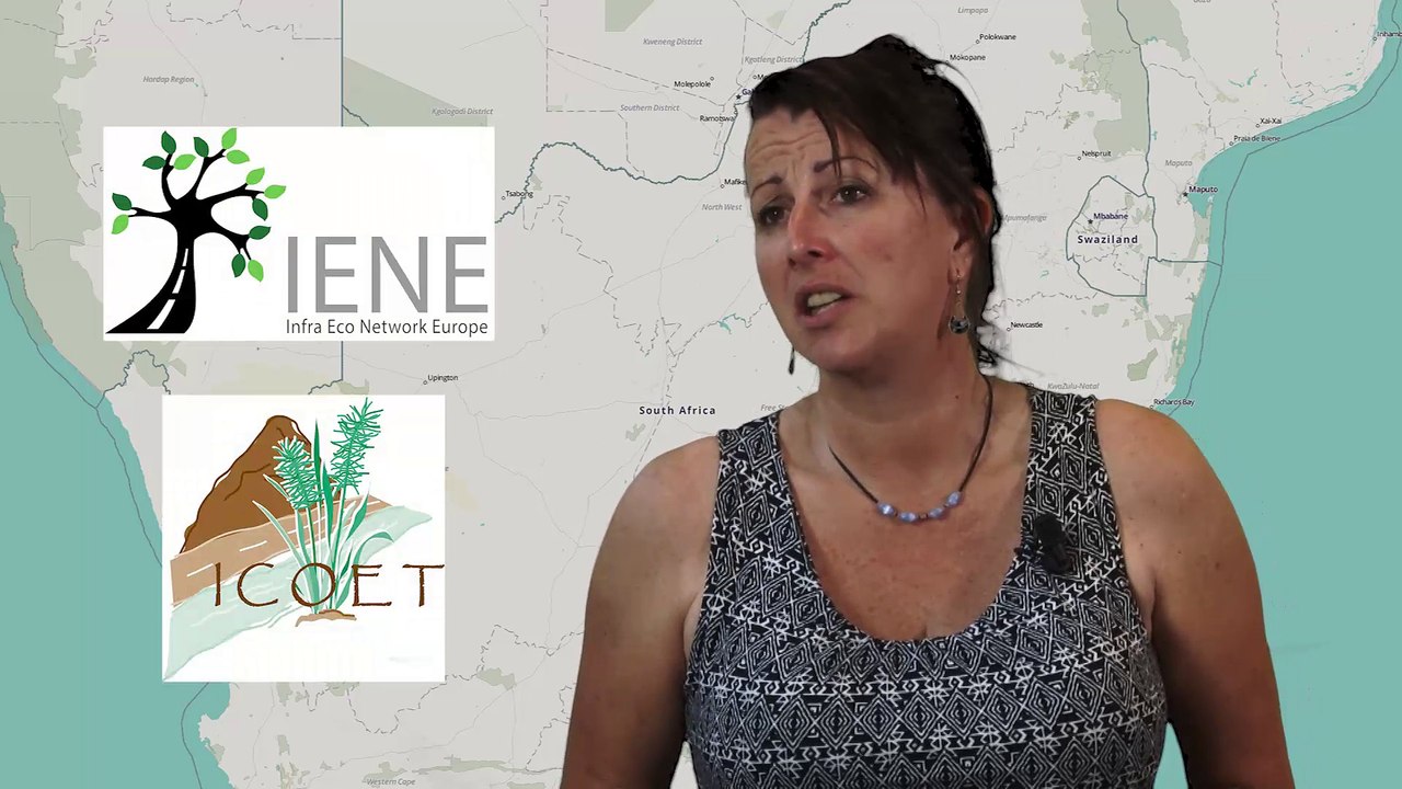 INFRASTRUCTURE AND BIODIVERSITY ROADKILL IN AFRICA