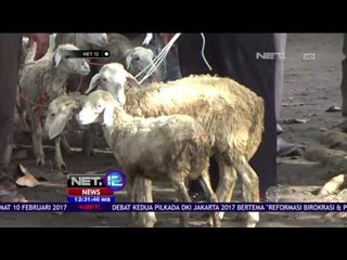 Waspada Antraks, Pedagang Keluhkan Turunnya Omzet - NET 12