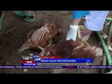 Ribuan Ayam di Desa Talang Jawa Timur Mati Mendadak - NET5