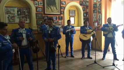 Tel. 50267690 Contratar Mariachis en Xochimilco