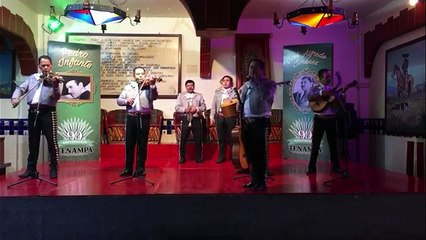 T. 35361455 Contratar Mariachis en Tlalnepantla