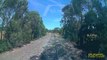 Buzz : En Australie, un cycliste qui traversait les voies évite de justesse un train à grande vitesse !