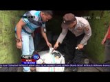 Polisi Gagalkan Upaya Penyelundupan Daging Celeng - NET 16