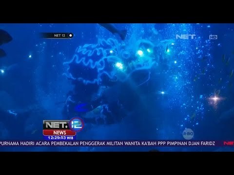 Atraksi Unik Barongsai Dalam Air yang Memukau - NET 12