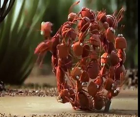 Union Is Stringht Most Amazing Video Must Watch