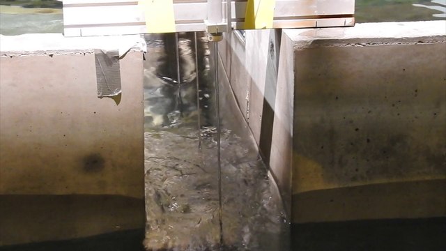 Etude de seiches dans le bassin à houles de l'ECN