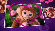 Hasbro - FurReal Friends - My Giggly Monkey Pet - Cuddles