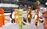 COLORS TALKING TOM CAT AND COLORS MOTORBIKE PARTY NURSERY RHYMES SONG FOR KIDS CATS FOR CHILDREN