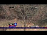 Seorang Pria Tewas Diterkam 3 Harimau di Kebun Binatang Zhejiang, Cina - NET 12