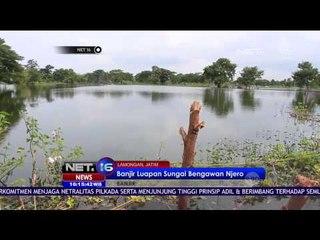 Скачать видео: Banjir Akibat Luapan Sungai Bengawan Njero, Petani Tambak Merugi Ratusan Juta - NET 16